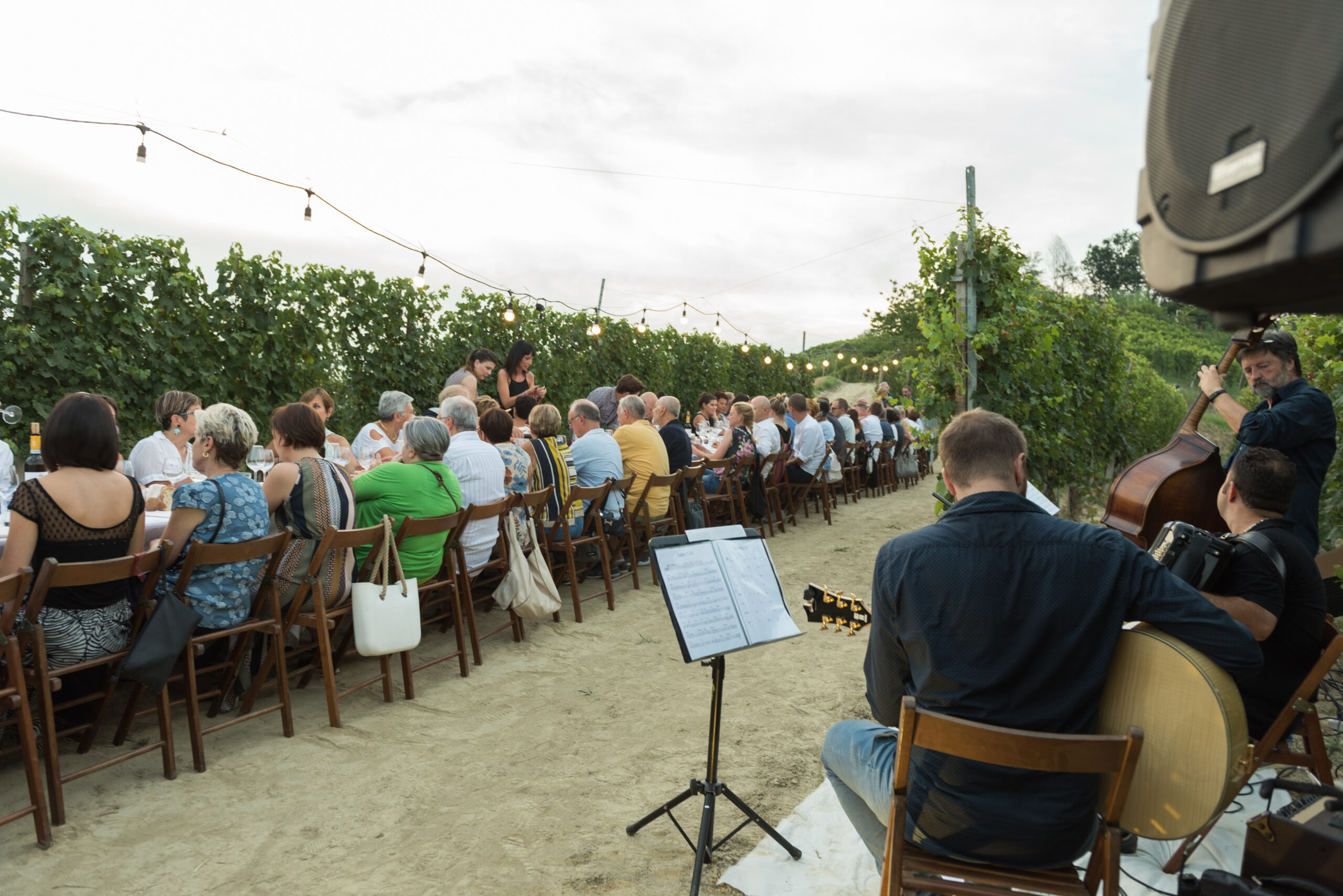 PRANZO CENA IN VIGNA LANGHE E ROERO