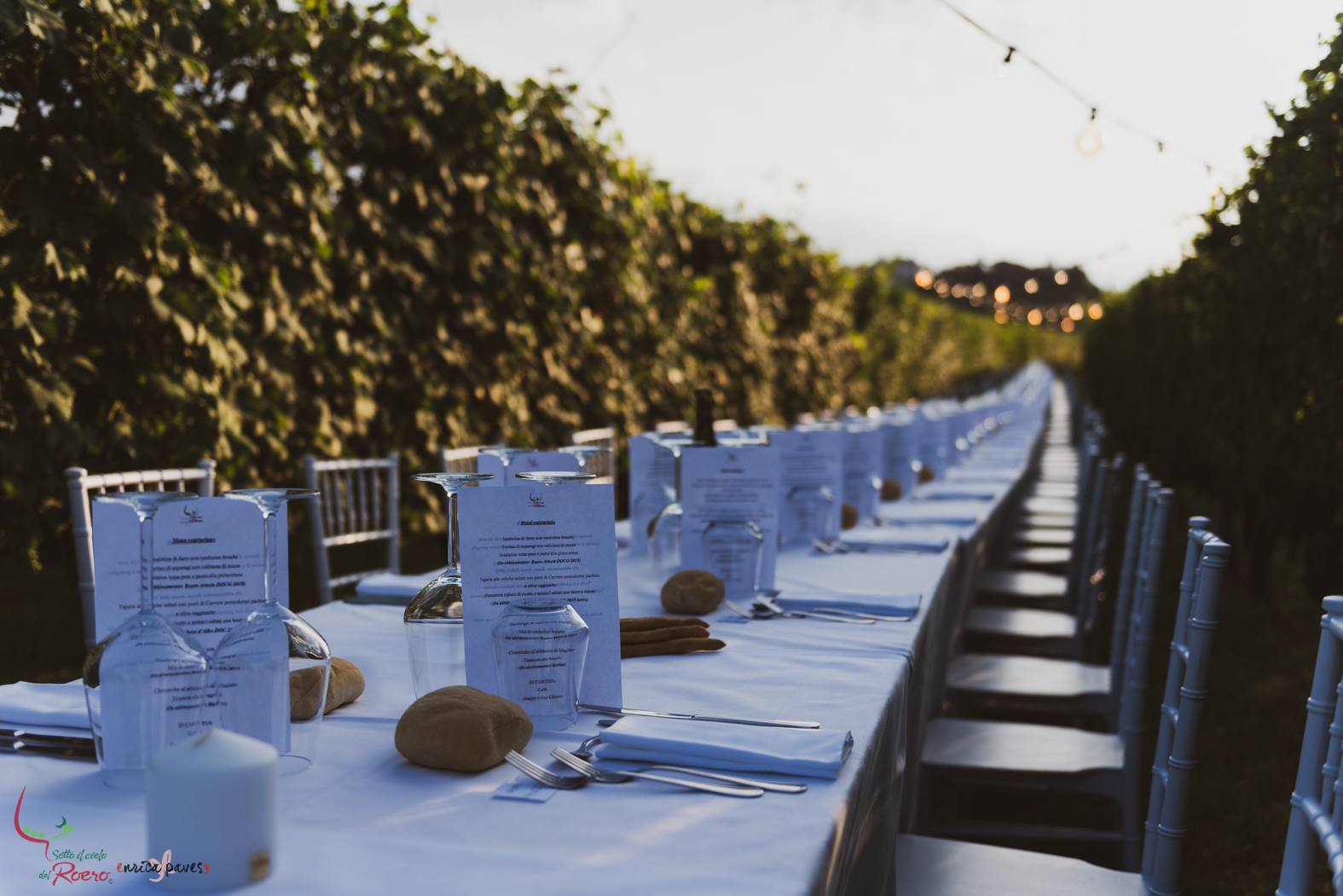 PRANZO CENA IN VIGNA LANGHE E ROERO