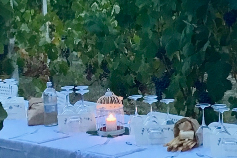 PRANZO CENA IN VIGNA LANGHE E ROERO