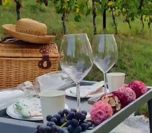 PICNIC IN VIGNA LANGHE ROERO