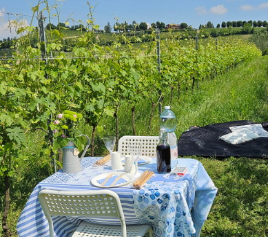 picnic in vigna